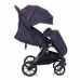 BabyHit Impulse Purple